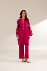 2 Piece Cotton Karandi Embroidered Suit (CS0290)